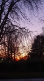 Regarder