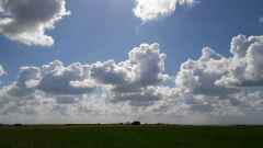 Regarder